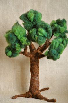 a small tree with green leaves on the top and bottom, sitting in front of a white wall