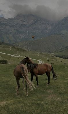 two horses standing in a field with mountains in the back ground and clouds in the sky