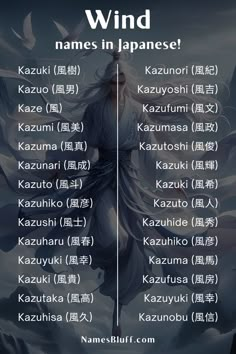 an image of the names in japanese characters and their respective words are shown on this poster