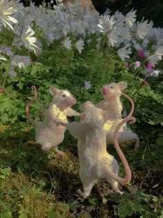 two toy mice playing with each other in the grass near flowers and plants, one has its head on another mouse's back