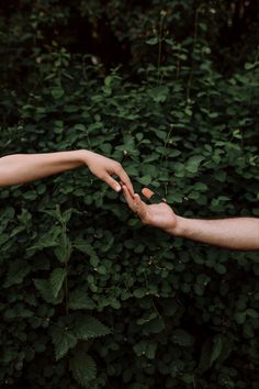 two people reaching out their hands to touch each other in front of some bushes and trees