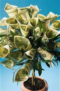 a potted plant filled with money sitting on top of a blue sky background,