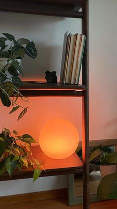 a lamp that is sitting on top of a shelf next to a potted plant