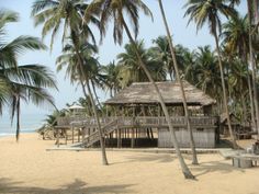 a hut on the beach surrounded by palm trees