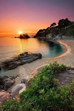 the sun is setting over an ocean with rocks and plants on it's shore