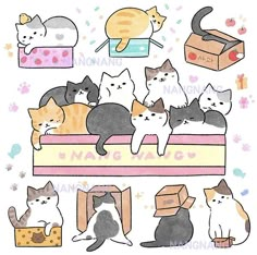 a bunch of cats that are sitting on top of a box and some boxes in front of them