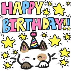 a happy birthday card with a cat wearing a party hat and stars on the background