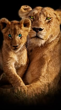 two young lions sitting next to each other on top of a grass covered field with green eyes