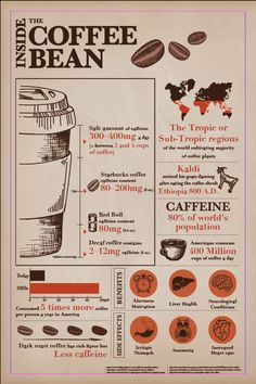 the coffee bean info sheet is shown