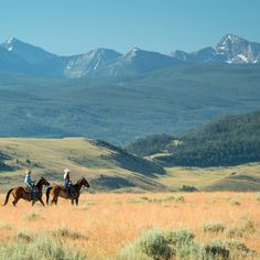 three people riding horses in the mountains on a grassy field with tall grass and trees