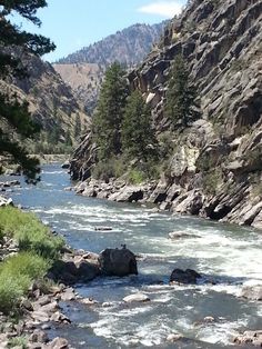 a river flowing through a lush green forest filled with rocks and pine tree's