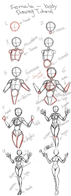 how to draw the human figure