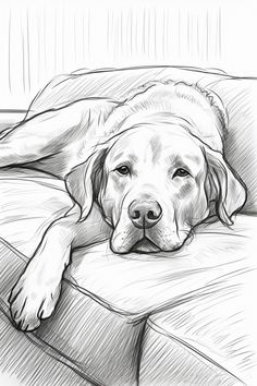 a black and white drawing of a dog laying on a couch with his head resting on the pillow