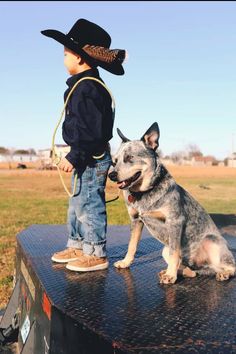 a little boy standing next to a dog on top of a truck