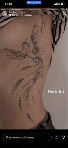 an image of a woman's back with feathers on her stomach and the words healed above it