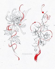 two drawings of flowers and vines with red ink on white paper, one is drawn by hand