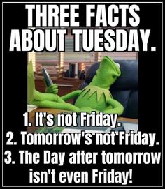 kermie the frog sitting at a desk with text that reads three facts about tuesday it's not friday 2 tomorrow's not friday 3 the day after tomorrow isn't even friday