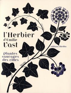 the cover of herbe d'amie post plantes source des riles