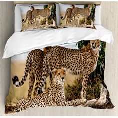 three cheetah on the savannah in front of trees and bushes with white sheets