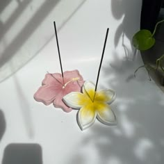 two pink and yellow flowers sitting on top of a white table