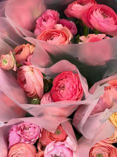 a bunch of pink flowers are wrapped in plastic