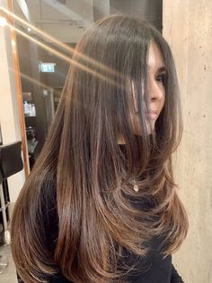 Famous Haircuts, Haircuts For Long Hair With Layers, Hairstyles For Layered Hair, Brown Hair Balayage, Layered Haircut, Haircuts Straight Hair, Long Layered Hair