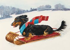 a painting of a dog sledding down a hill in the snow wearing a scarf