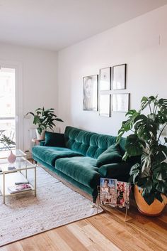 a living room with a green couch and potted plants on the floor in front of a window