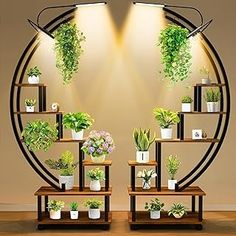 there are many potted plants on the shelves in front of the light fixture that is lit up