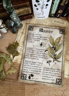 an old book is sitting on a table next to some books and other items that include leaves