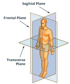 an image of a man's body with the words sagital plane and transverse plane