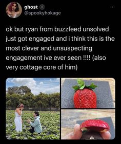 two people standing in a field with strawberries on their heads and one holding a strawberry