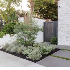 an outdoor garden with stone walls and plants in the foreground, next to a white brick building