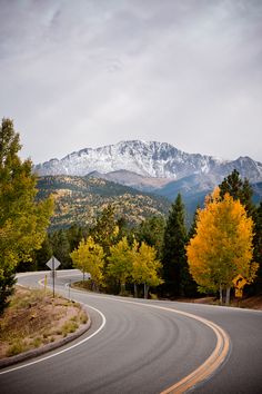 an empty road with mountains in the background and trees on both sides, surrounded by yellow leaves