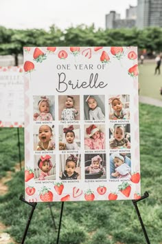 a one year of briele sign with pictures of babies on it in the grass