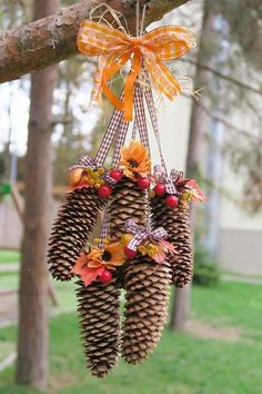 pine cone wreaths hanging from a tree branch with an orange bow on the top