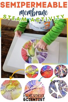 STEAM activity for preschool, kindergarten, elementary grades, middle school, and high school. Use as a lesson about osmosis or a lesson about capillary action. Coffee Filter Painting, Capillary Action, First Lego League, Steam Activity, Activity For Preschool, Science Lesson, Stem Activity, Science Activity, Steam Activities