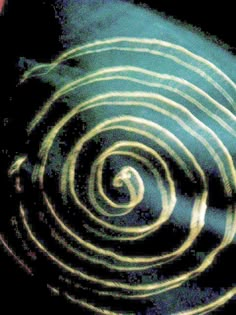 a close up view of some spirals in the dark