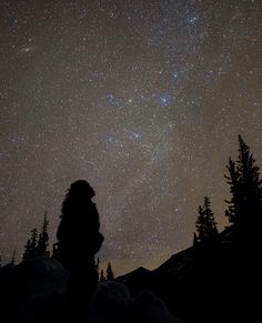 a person looking up at the stars in the night sky with trees and snow on the ground