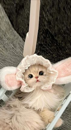 a cat wearing a bunny costume sitting on a chair