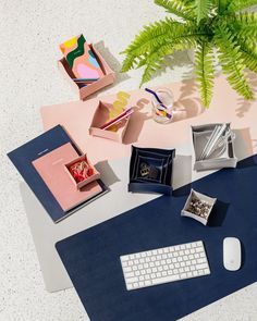 a desk with a keyboard, mouse and various other items on top of it next to a potted plant