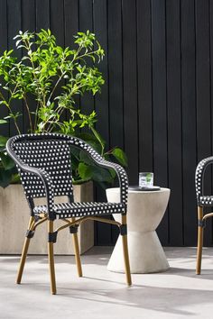 two black and white chairs sitting next to each other near a potted plant on a table