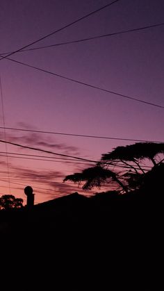 the silhouette of power lines and telephone poles against a purple sky at dusk with clouds