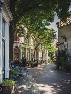 a bicycle parked on the side of a street next to buildings and trees in front of them