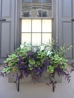 a window box filled with green and purple flowers