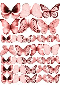 pink butterflies are arranged on a white background