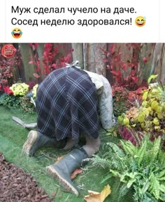 a man kneeling down in the grass with his head under a rock and plants around him