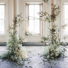 an empty room with plants growing out of the floor and windows in the back ground