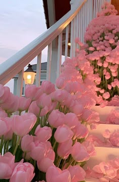 pink flowers are lined up on the steps