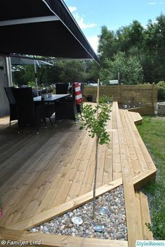 a small tree is growing in the middle of a decked area with rocks and gravel